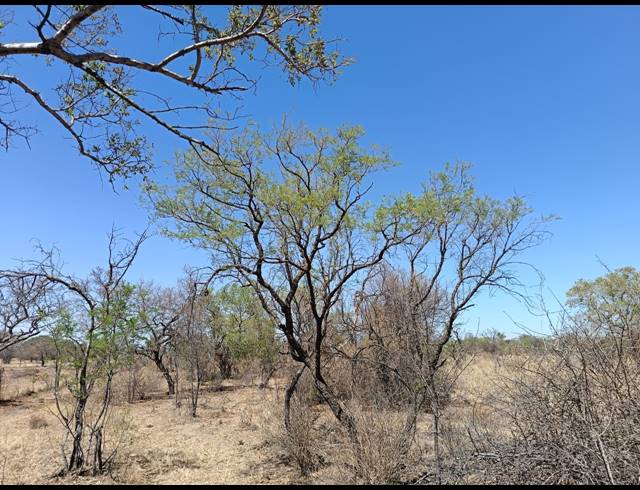 8.60HA SMALLHOLDING SOLD IN LUSTHOF